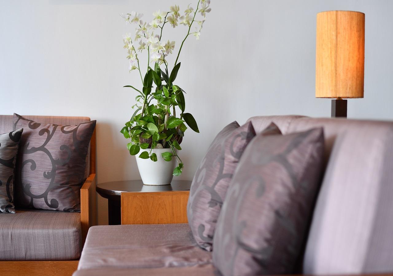 Phuket Ayara Hilltops - Adults & Young Adults 16+ Only מראה חיצוני תמונה
